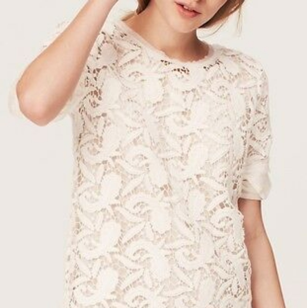 Loft Paisley Lace Crochet Blouse